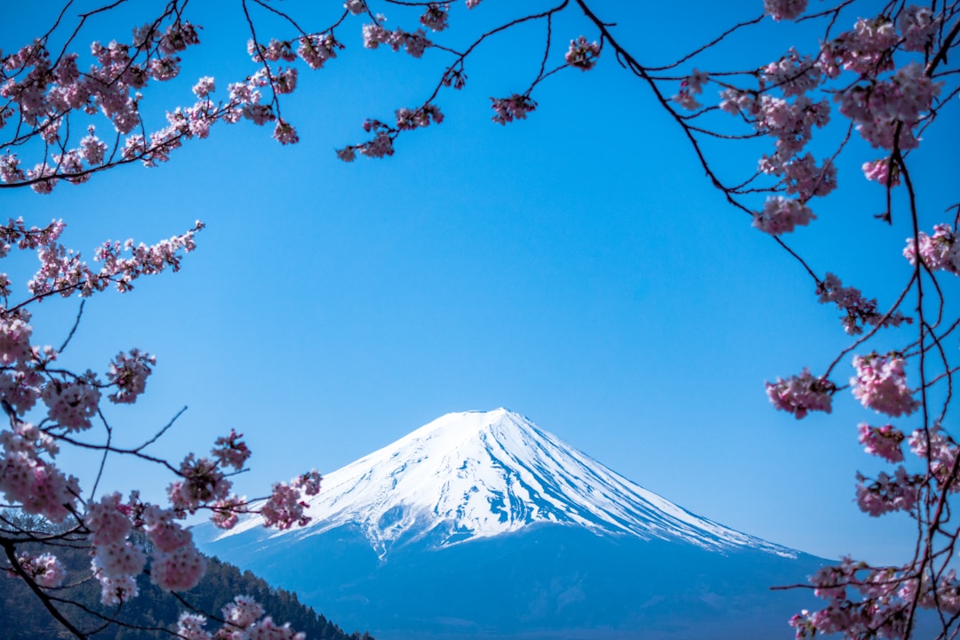 日(rì)本